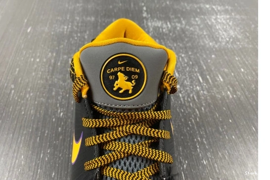 Diem Nike Protro 4 Carpe Kobe   AV6339-001 1224